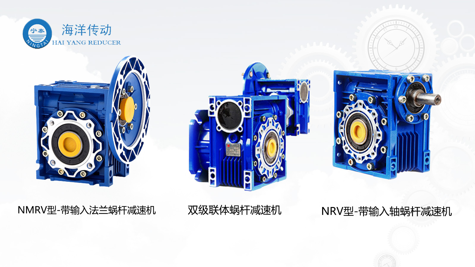 河北海洋RV減速機